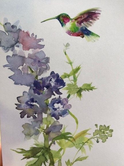 Hummingbird Greeting Card